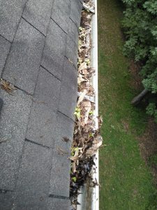 Kingston Gutter cleaning