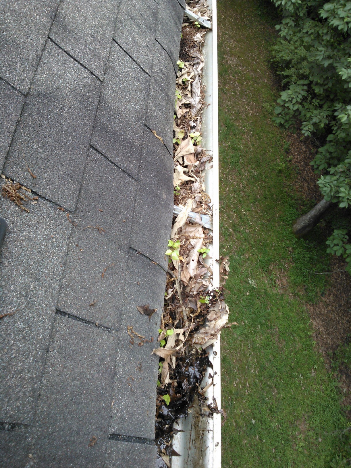 Thriving Gutters Gutter Cleaning Service Near Me Roseville Ca
